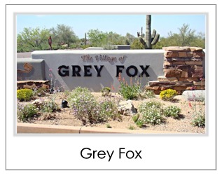 Grey Fox Homes For Sale in Desert Mountain Scottsdale AZ